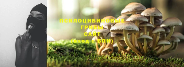 2c-b Касимов