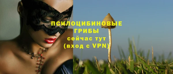 apvp Карпинск