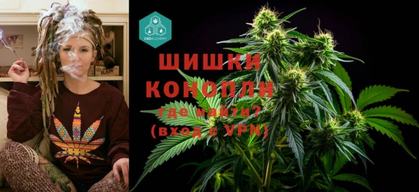 apvp Карпинск