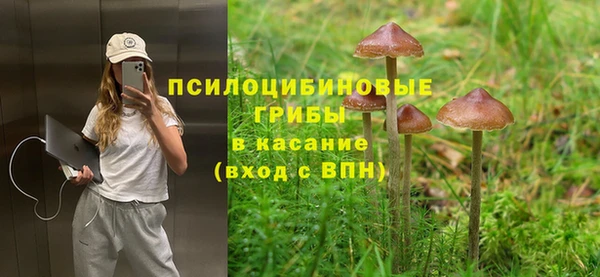 apvp Карпинск