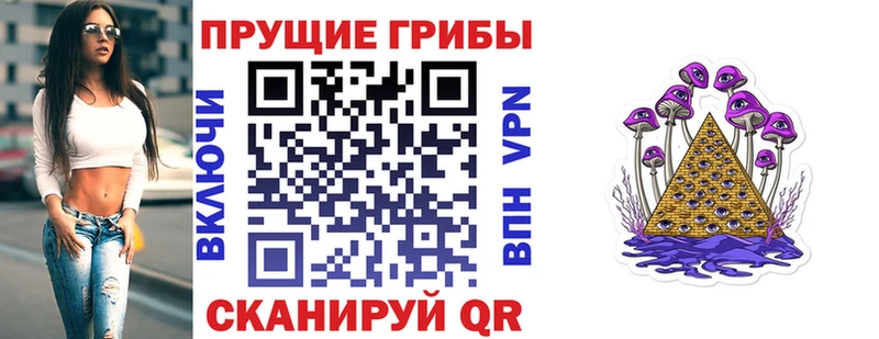 Псилоцибиновые грибы прущие грибы  Купить закладки  Кропоткин 